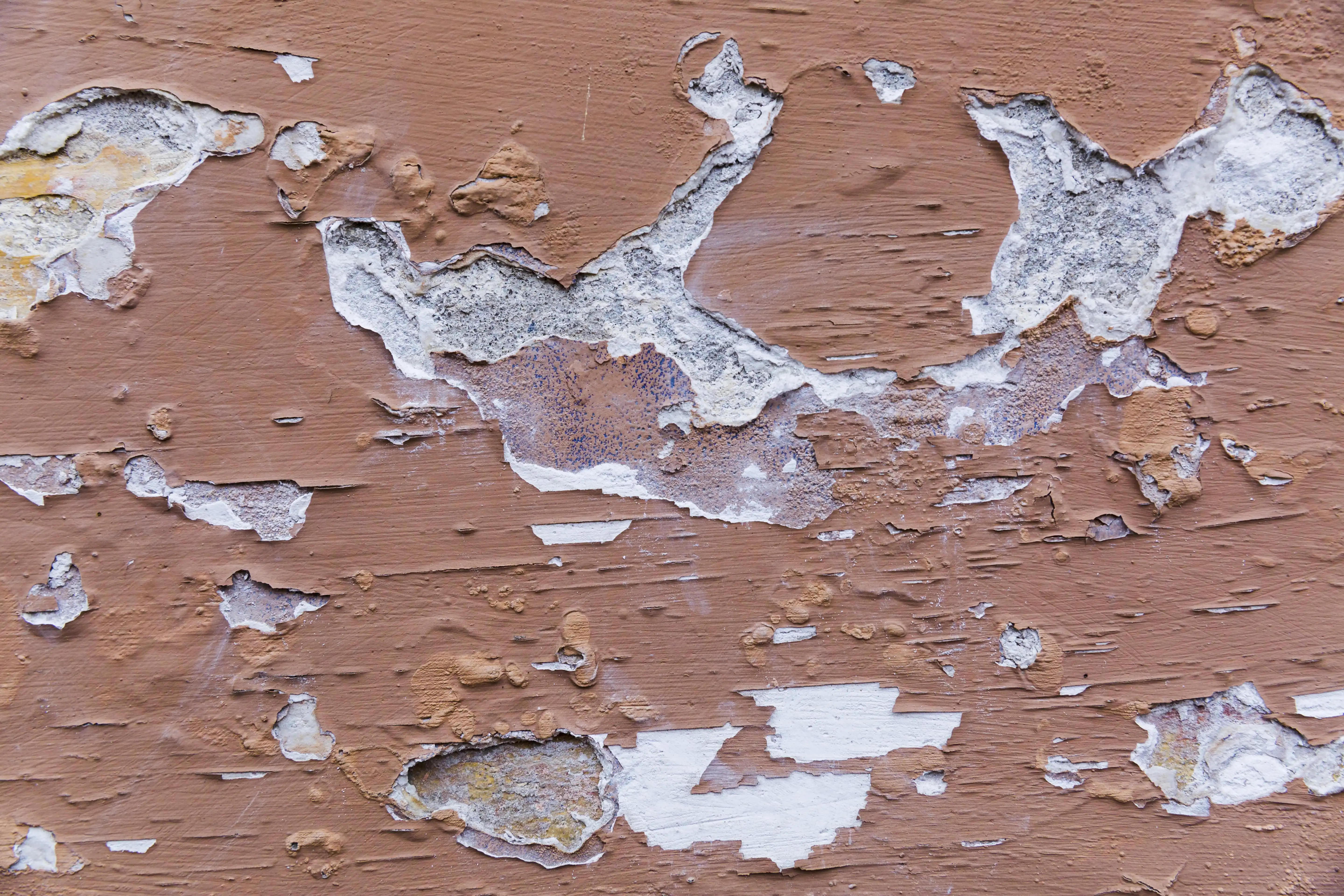 Tigersil 1 (Paint peel off)-min